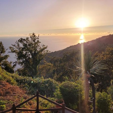 Sunset Refuge Apartment Faja da Ovelha Bagian luar foto