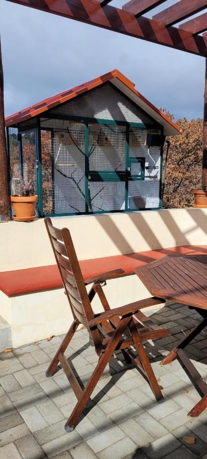 Sunset Refuge Apartment Faja da Ovelha Bagian luar foto